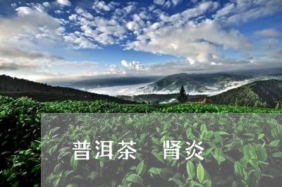 普洱茶 肾炎/2023042840733